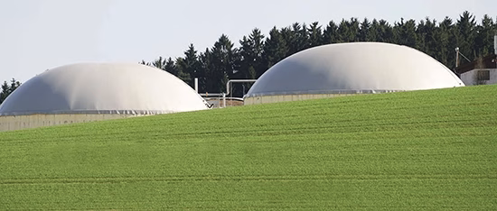 Carbon Dioxide and the Green Gases Agenda
